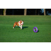 Іграшка для собак Puller Maxi 30 см (6492) зображення 4