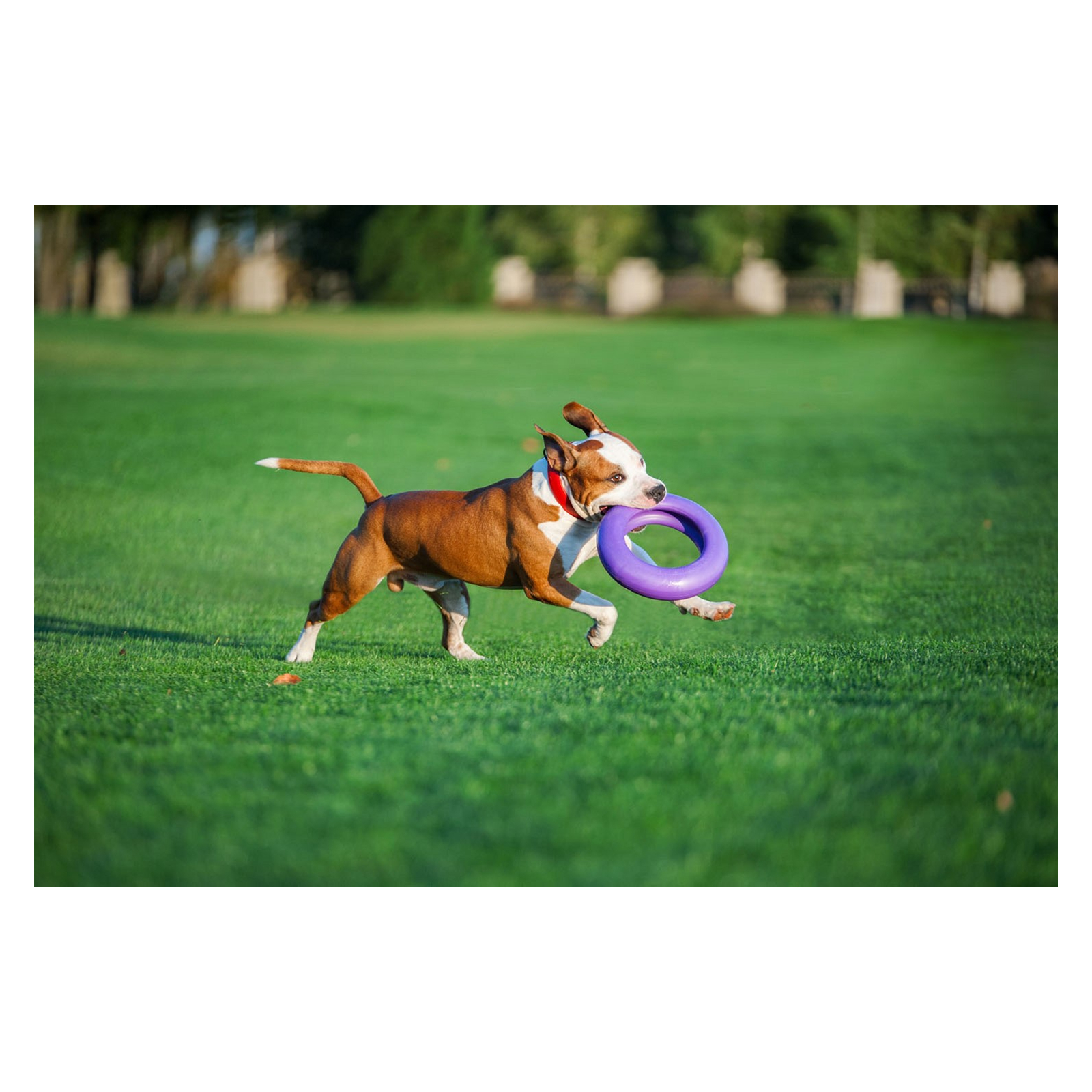 Іграшка для собак Puller Maxi 30 см (6492) зображення 7