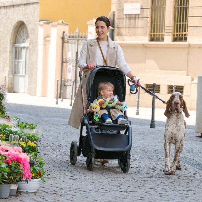 Іграшка на коляску Chicco Пані жирафа (11562.00) зображення 5