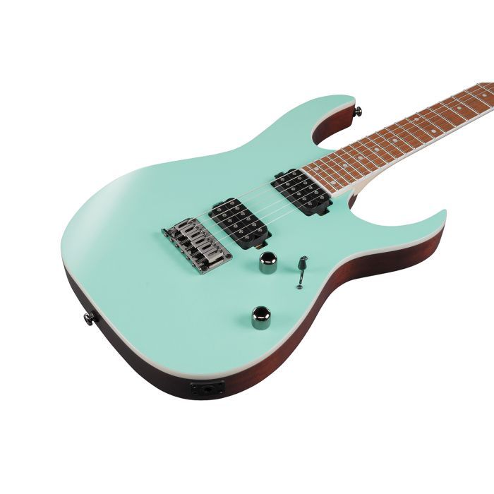 Электрогитара Ibanez RG421S SEM (234944) изображение 4