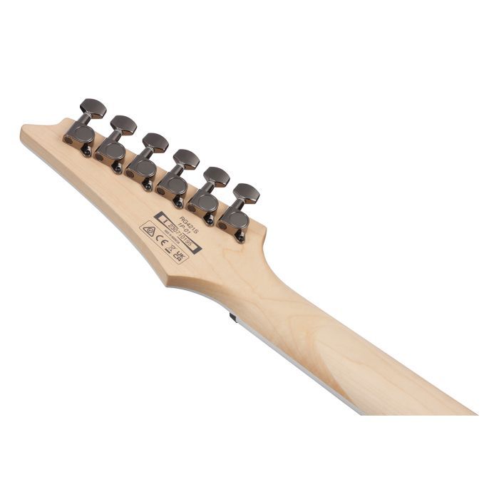 Электрогитара Ibanez RG421S SEM (234944) изображение 7