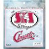 Струны для гитары SIT Strings SCM101 (30-40) (226930)