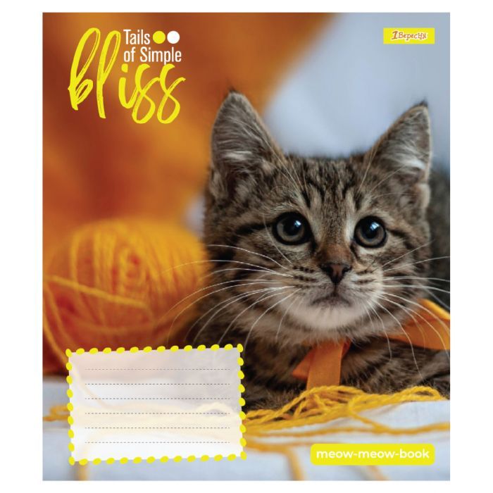 Тетрадь 1 вересня Bliss А5 12 листов косая линия (768053) изображение 3