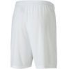 Шорты Puma teamGOAL 23 knit Shorts 704262-04 білий S (4062451180621) изображение 3