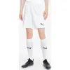 Шорты Puma teamGOAL 23 knit Shorts 704262-04 білий S (4062451180621)