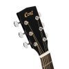 Гитара акустическая Cort Earth 60 Black Gloss изображение 5