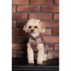 Жилет для тварин Pet Fashion Hardy S2 (4823082437504) зображення 9