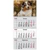Календарь Axent настенный квартальный на 2026 г. (3 пружины) Dogs 1 (8803-26-16-A) изображение 2