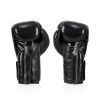 Боксерские перчатки Fairtex BGV5 Black 10 унцій (бинти в комплекті) (BGV5_10oz_Black) изображение 4