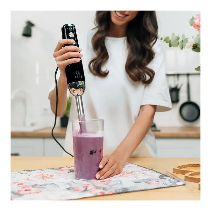 Блендер QUIN HB-103 изображение 10