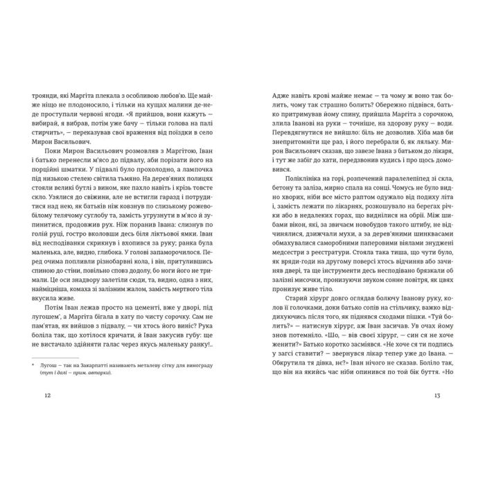 Книга Іван і Феба - Оксана Луцишина Видавництво Старого Лева (9789664486146) изображение 3
