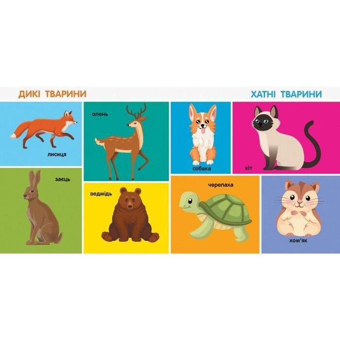 Книга 100 перших слів. Смарт-книги - К.А. Трофимова Ранок (9786170952950) изображение 4