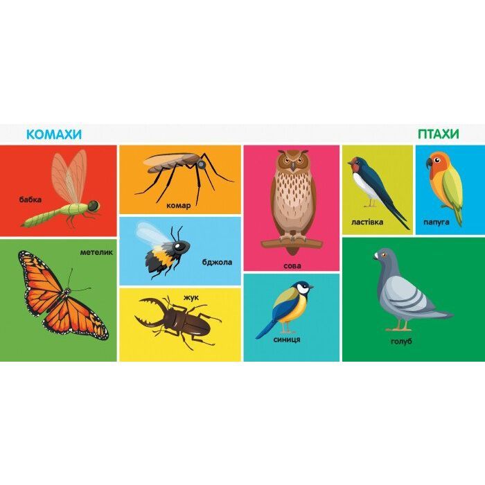 Книга 100 перших слів. Смарт-книги - К.А. Трофимова Ранок (9786170952950) изображение 5