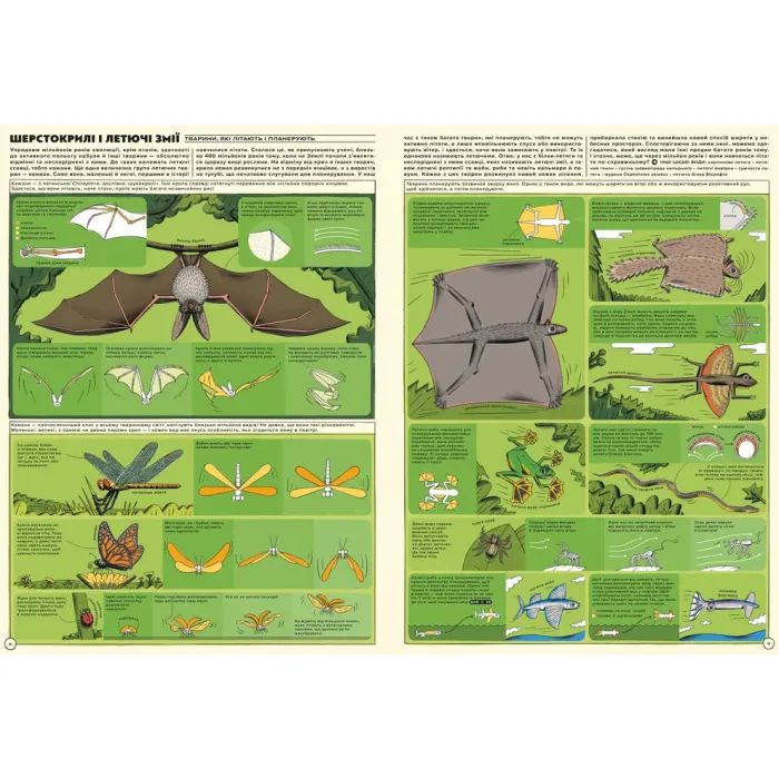 Книга Але високо! Мальована історія авіації - Яцек Амброжевський Видавництво Старого Лева (9789664484272) изображение 4