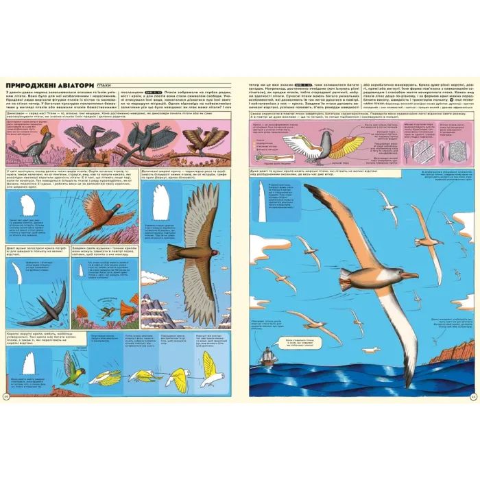 Книга Але високо! Мальована історія авіації - Яцек Амброжевський Видавництво Старого Лева (9789664484272) изображение 5