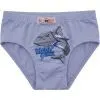 Трусы детские BiyoKids набор (2527-116B-mix) изображение 3