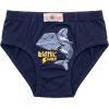 Труси дитячі BiyoKids набір (2527-116B-mix) зображення 6