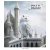 Зошит Школярик Star World of Magic 60 аркушів клітинка (060-3431K) зображення 5