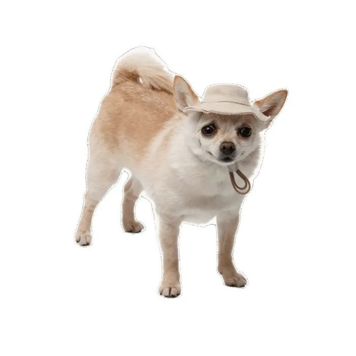 Кепка для тварин Pet Fashion Gold L (4823082446025) зображення 5
