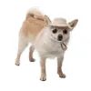 Кепка для тварин Pet Fashion Gold L (4823082446025) зображення 5