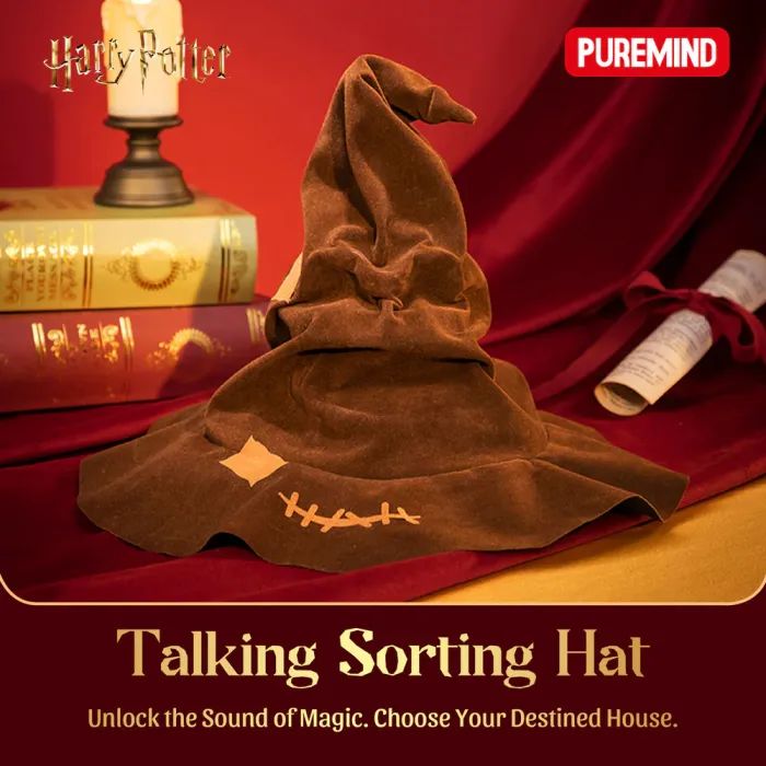 Конструктор Puremind Talking Sorting Hat (1632) изображение 2