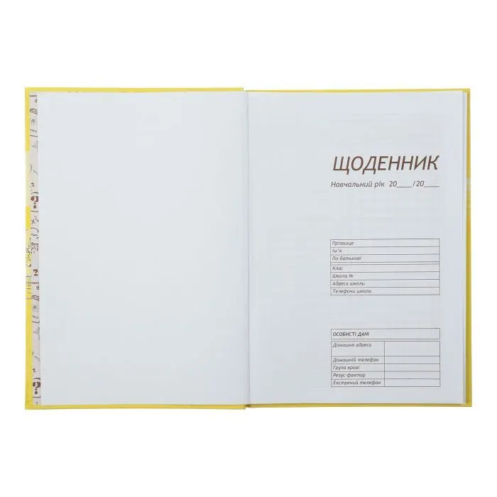 Дневник школьный ZiBi ПАТРИОТ МОДА В5, 40 листов, твердая обложка (ZB.13765-09) изображение 3
