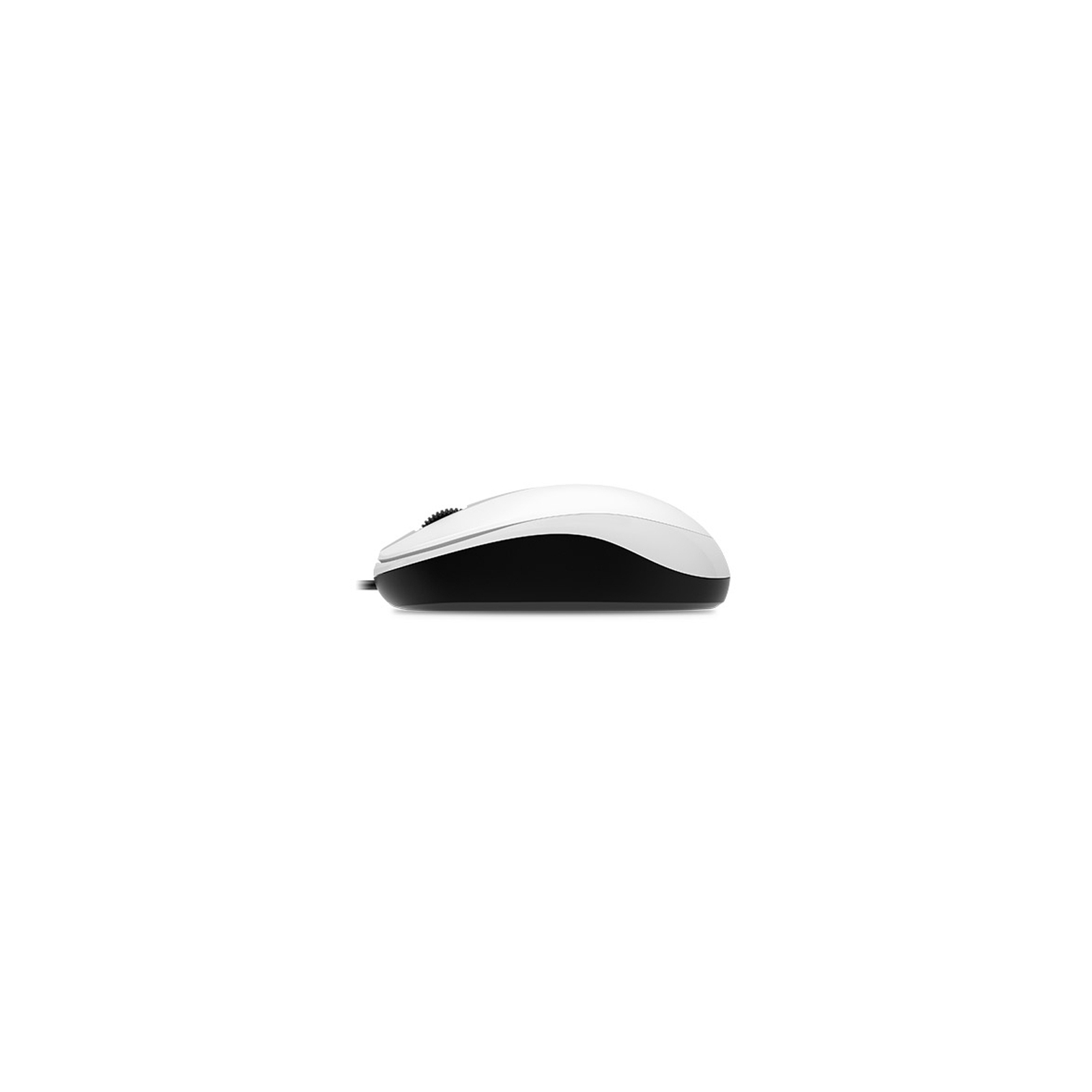 Мышка Genius DX-120 USB White (31010105102) изображение 3