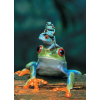 Пазл Eurographics Червоноока деревна жаба 1000 елементів (6000-3004) зображення 2