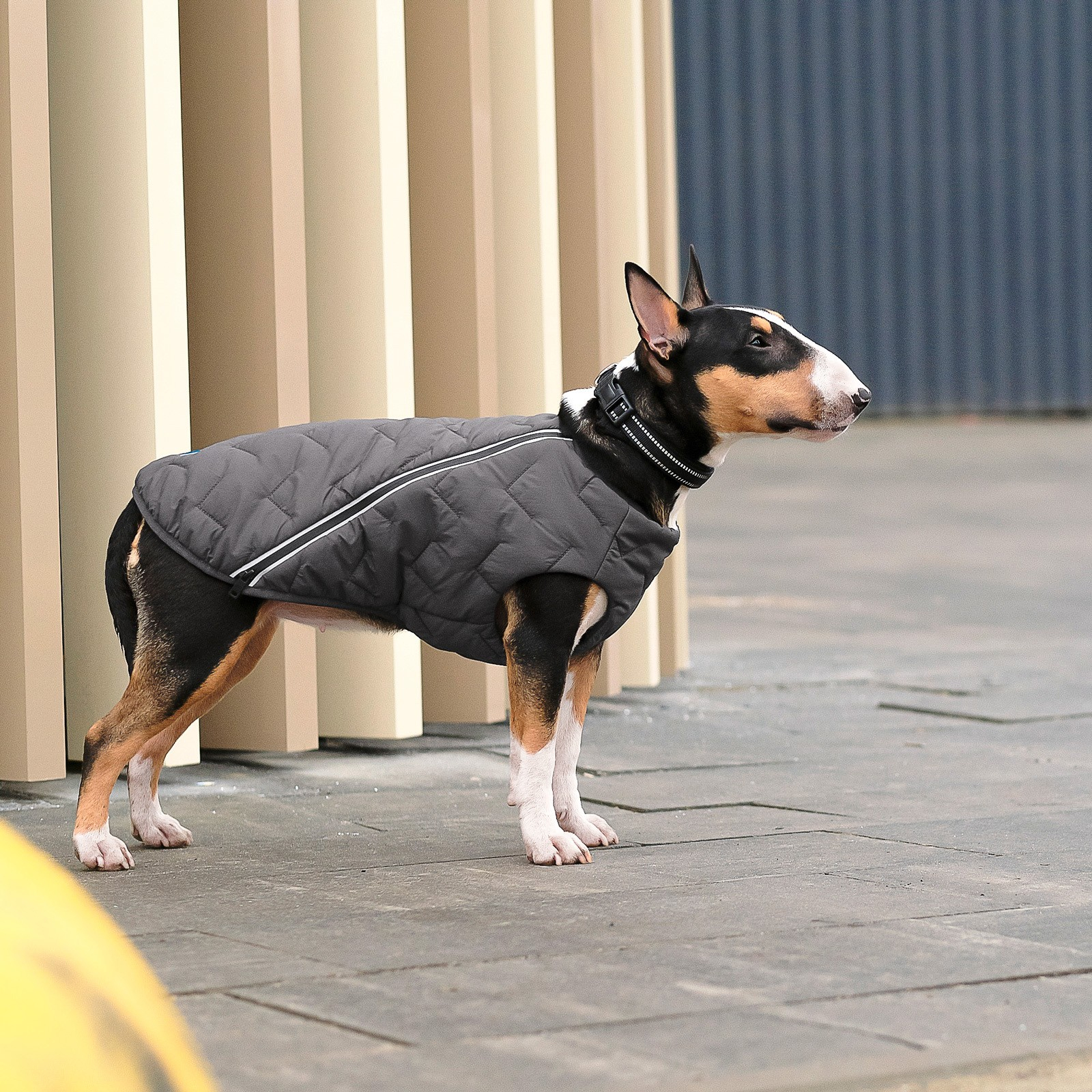 Жилет для животных Pet Fashion "E.Vest" S серый (4823082424375) изображение 3
