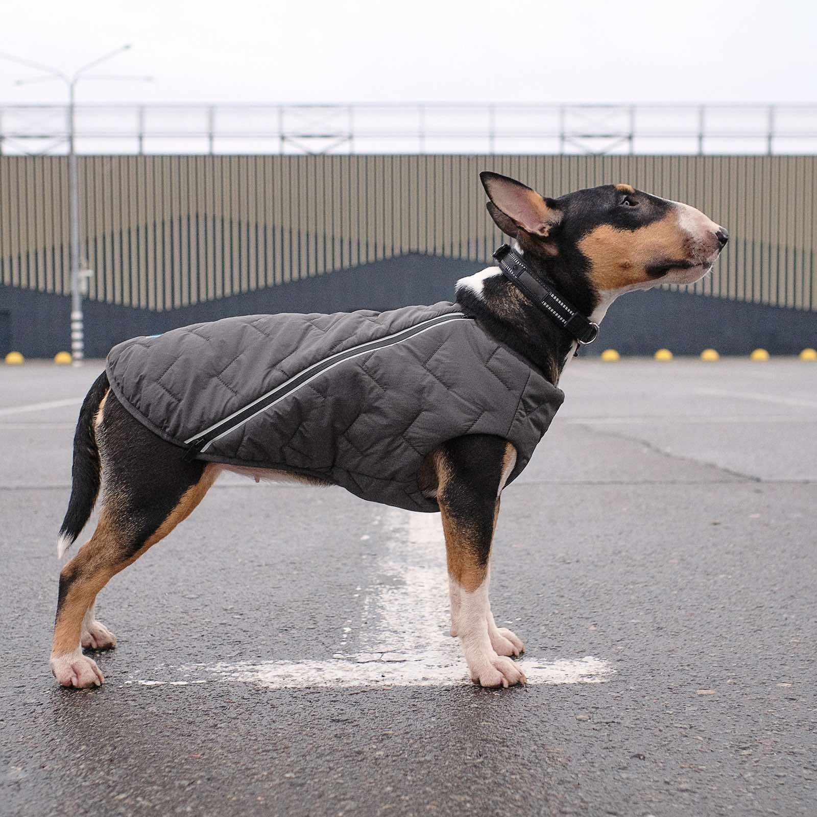 Жилет для животных Pet Fashion "E.Vest" XS-2 серый (4823082424368) изображение 6