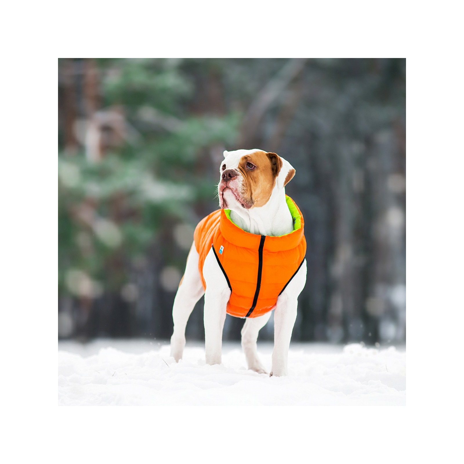 Курточка для животных Airy Vest двусторонняя S 30 оранжево-салатовая (1609) изображение 7