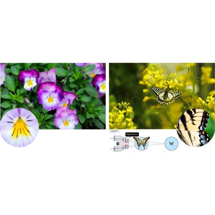 Бинокль Pentax UP 8.5x21 Papillio II (930160) изображение 5