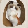 Дряпка (когтеточка) для котов Catit Pixi с игрушкой широкая 45x23.5x44 см (22517425138) изображение 6