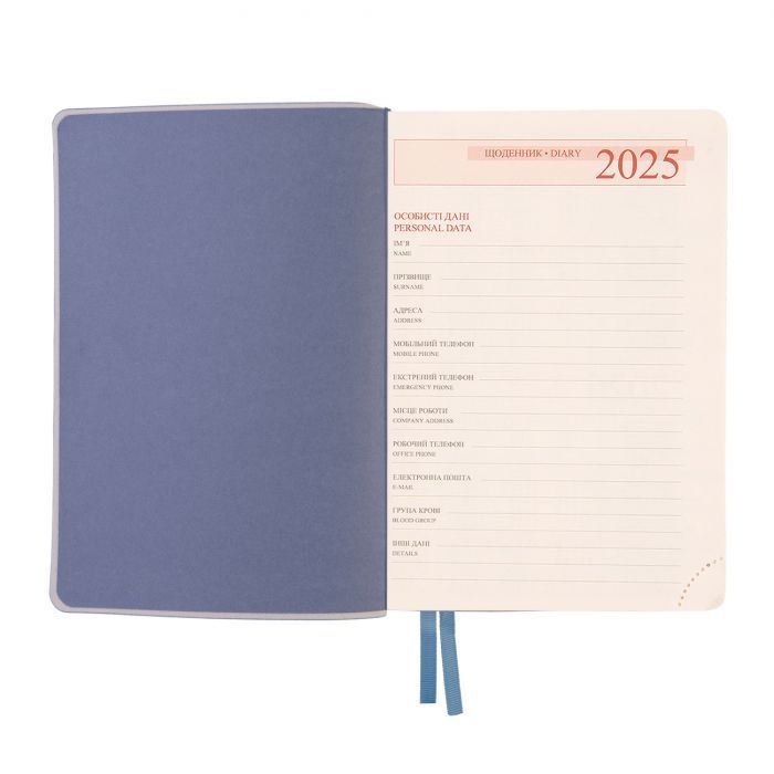 Еженедельник Leo planner датированный 2025 Agenda А5 серо- голубой 368 страниц (252549) изображение 3