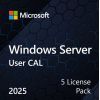 ПЗ для сервера Microsoft Windows Server 2025 CAL 5 User англ, ОЕМ без носія (EP2-25279)