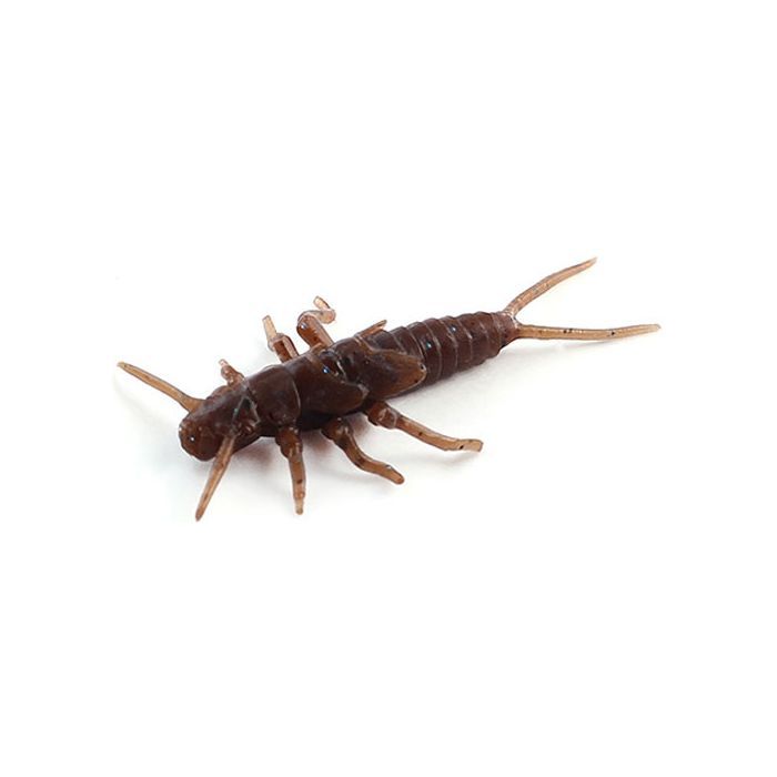 Силікон рибальський FishUP Stonefly 0.75" 012 - Chaos (12шт/уп) (1864.00.36)