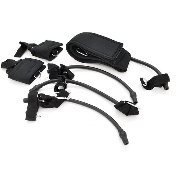 Эспандер Voltronic ECO ZEN набір з петлями (EZ-DL159)
