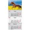 Календар Axent настінний квартальний на 2026 р. (3 пружини) Horses 1 (8803-26-7-A)