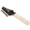 Електрогітара Ibanez RG470AHM BMT (234939) зображення 6