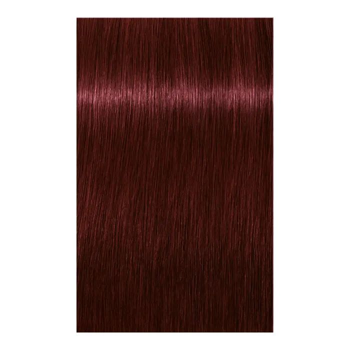 Краска для волос Schwarzkopf Professional Igora Royal 6-00 60 мл (4045787204766) изображение 2