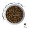 Сухий корм для собак Home Food ADULT MINI Low-grain For active adult and junior з ягням та рисом 1.6 кг (4820235020422) зображення 4