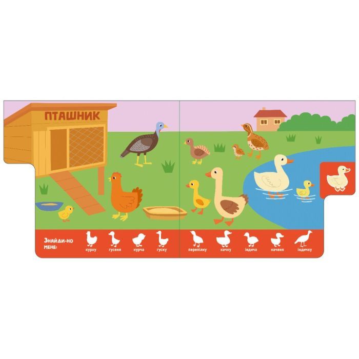 Книга Знайди-но мене! Мами і дитинчата - Олена Радченко Ранок (9786170993526) зображення 3