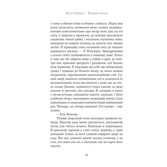 Книга Яскраво палаю - Моллі Ейткен Yakaboo Publishing (9786178225674) зображення 11