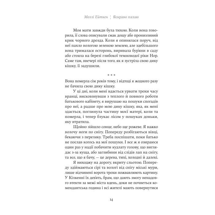 Книга Яскраво палаю - Моллі Ейткен Yakaboo Publishing (9786178225674) зображення 9