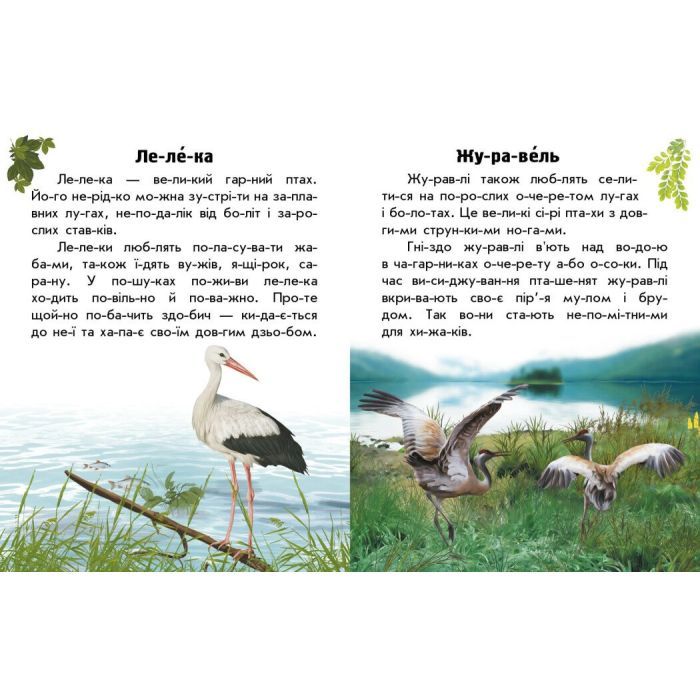 Книга Читаю про Україну. Тварини степів - Ю.В. Каспарова Ранок (9786170981370) изображение 3