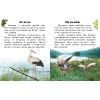Книга Читаю про Україну. Тварини степів - Ю.В. Каспарова Ранок (9786170981370) изображение 3