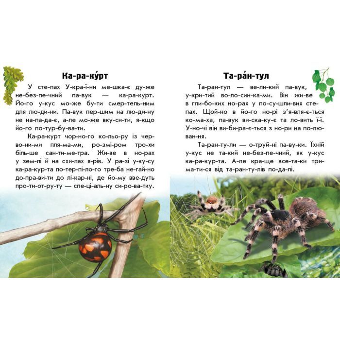 Книга Читаю про Україну. Тварини степів - Ю.В. Каспарова Ранок (9786170981370) изображение 4