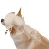 Кепка для тварин Pet Fashion Gold M (4823082446032) зображення 4