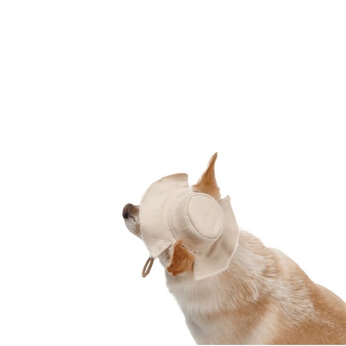 Кепка для животных Pet Fashion Gold M (4823082446032) изображение 6