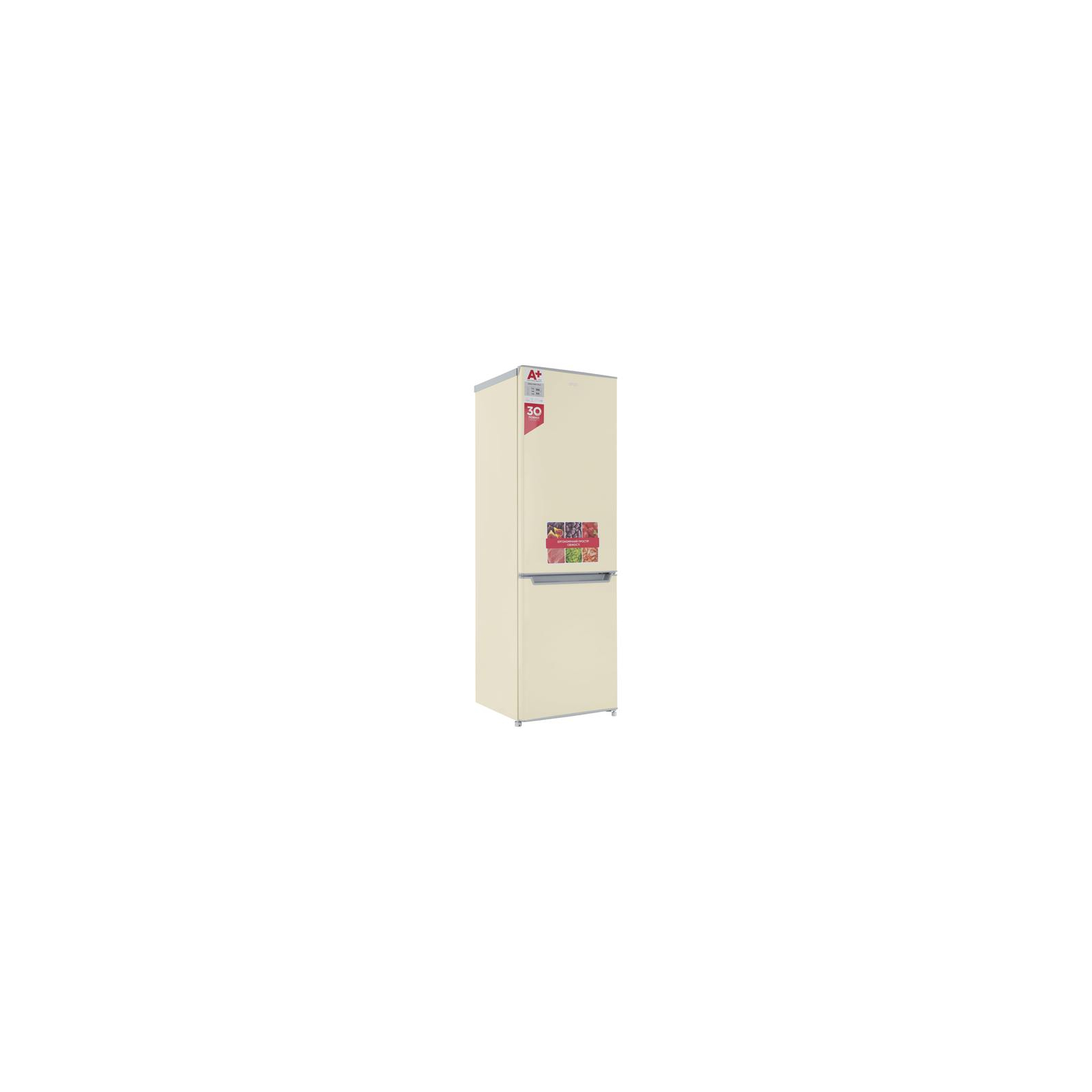Холодильник Ergo MRF-170 E зображення 5